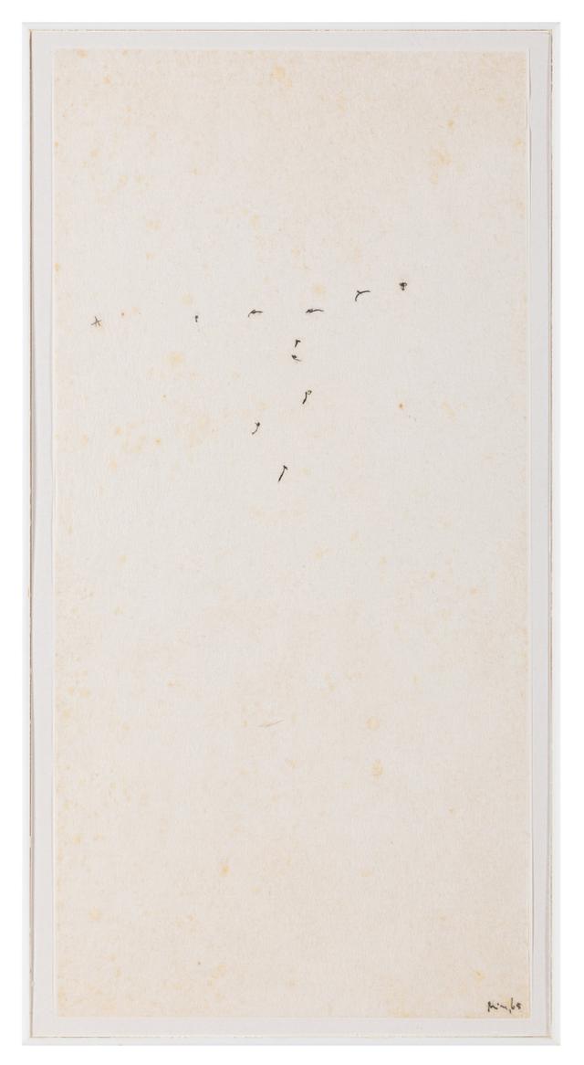Obra de MIra Schendel
