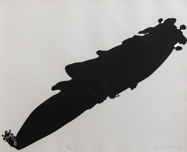 Obra de Regina Silveira